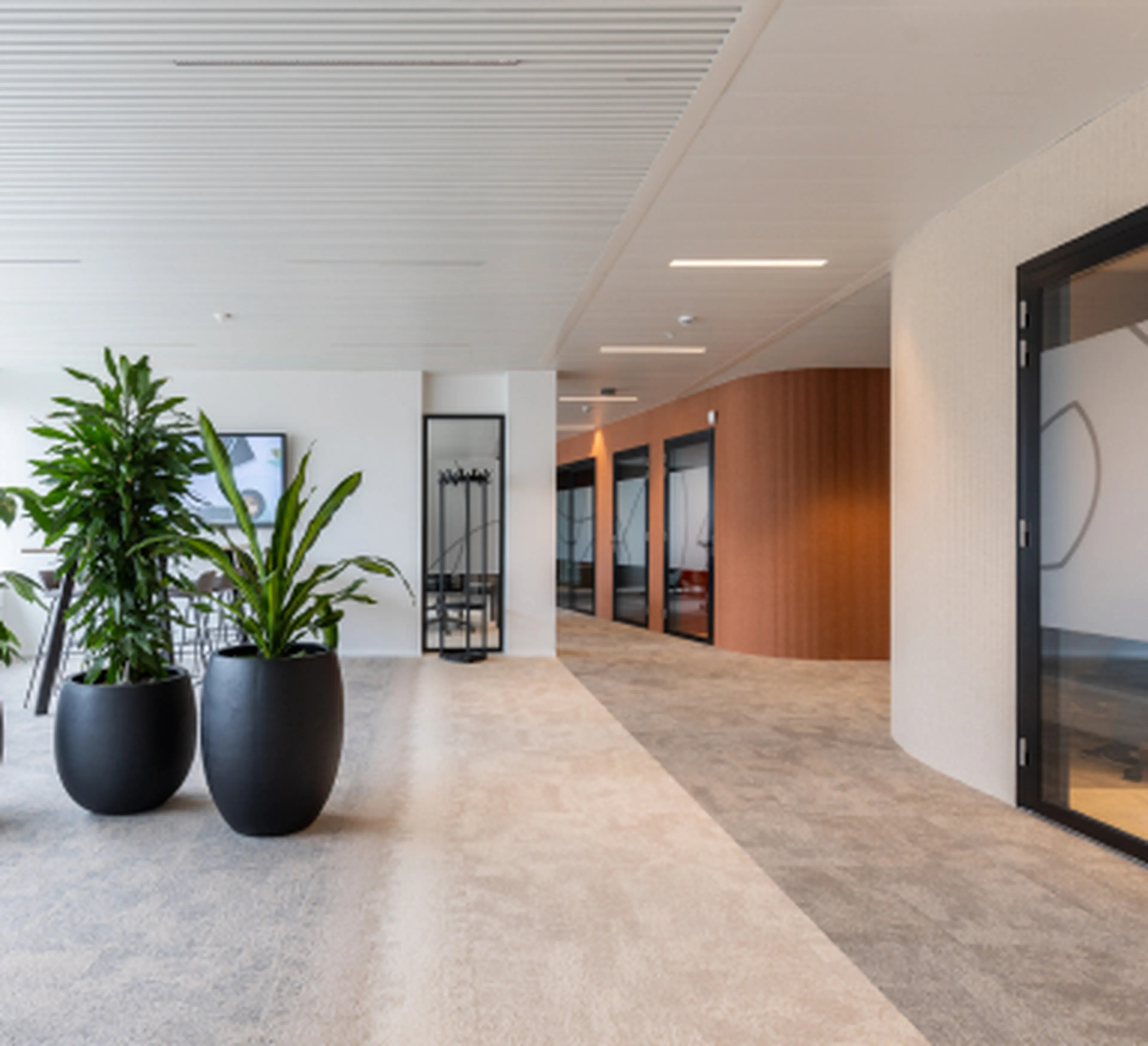 Modern and bright corridor at the Q8 headquarters in Antwerp. The space features large plants in black pots, an industrial-style coat rack, and wooden walls with integrated meeting rooms on the right-hand side.